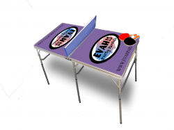 Mini Ping-Pong Table