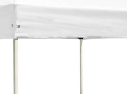 10' X 10' Pop-Up Canopy