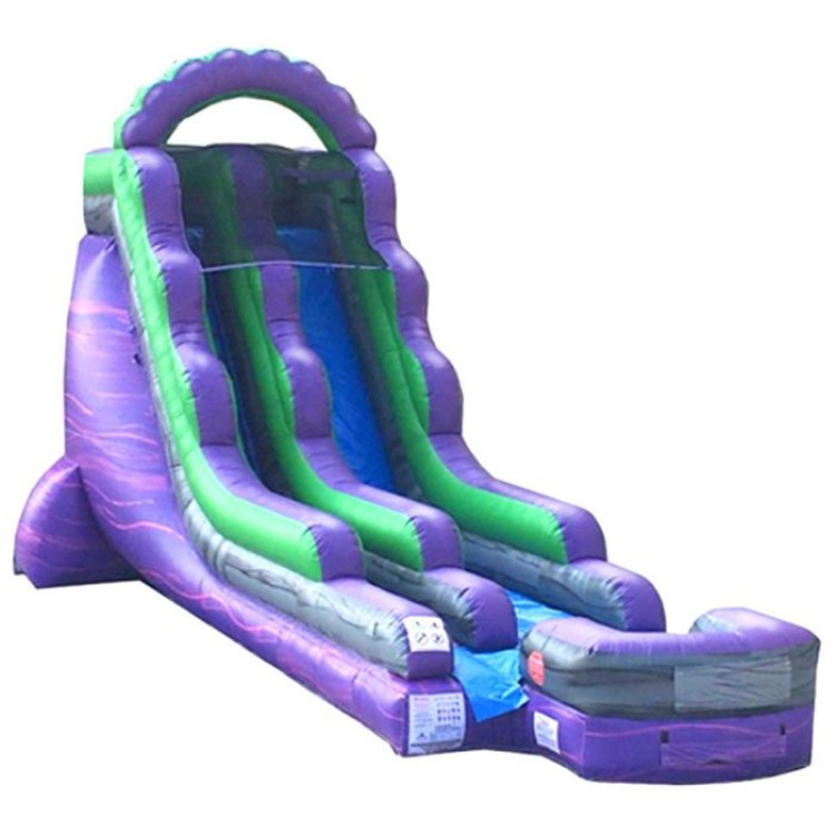 Water Slides/ Dunk Tank